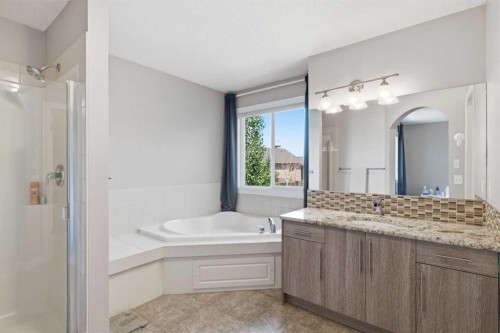 331 Parkmere Green, Chestermere, AB - Indoor Photo Showing Bathroom