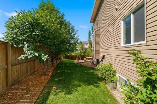 331 Parkmere Green, Chestermere, AB - Outdoor