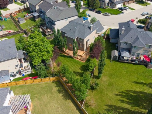 331 Parkmere Green, Chestermere, AB - Outdoor With View