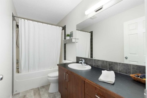 590 Coopers Drive Sw, Airdrie, AB - Indoor Photo Showing Bathroom