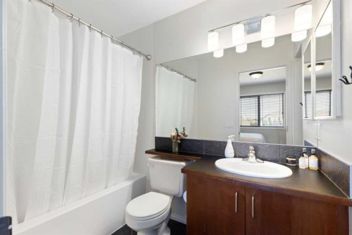 590 Coopers Drive Sw, Airdrie, AB - Indoor Photo Showing Bathroom