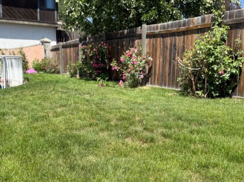 6803 Dalmeny Gate Nw, Calgary, AB - Outdoor