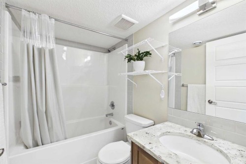 220 Livingston Common Ne, Calgary, AB - Indoor Photo Showing Bathroom
