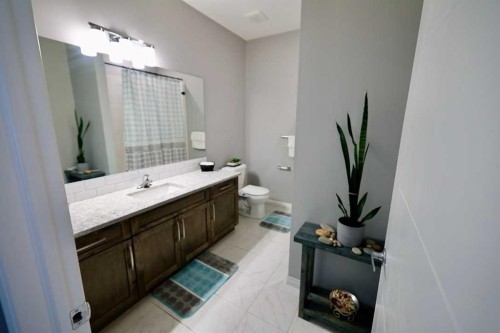 163 Cityside Park Ne, Calgary, AB - Indoor Photo Showing Bathroom