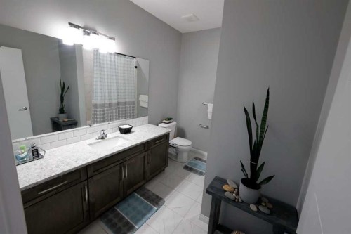 163 Cityside Park Ne, Calgary, AB - Indoor Photo Showing Bathroom
