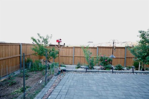 163 Cityside Park Ne, Calgary, AB - Outdoor