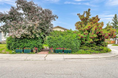 3722 Dover Ridge Drive Se, Calgary, AB - Outdoor