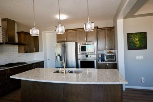 163 Cityside Park Ne, Calgary, AB - Indoor Photo Showing Kitchen With Double Sink With Upgraded Kitchen