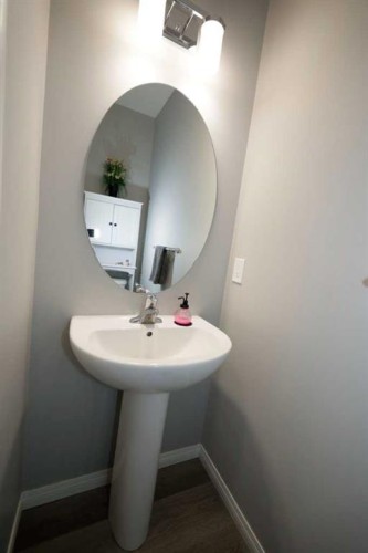 163 Cityside Park Ne, Calgary, AB - Indoor Photo Showing Bathroom