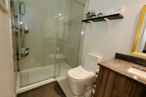163 Cityside Park Ne, Calgary, AB - Indoor Photo Showing Bathroom