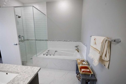 163 Cityside Park Ne, Calgary, AB - Indoor Photo Showing Bathroom
