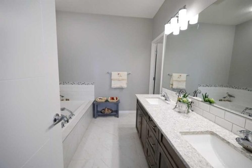 163 Cityside Park Ne, Calgary, AB - Indoor Photo Showing Bathroom