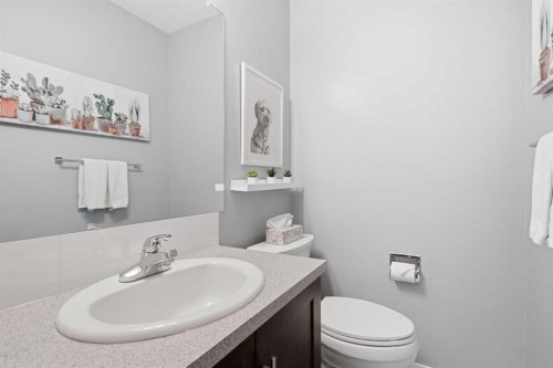 237 Deerpoint Lane Se, Calgary, AB 