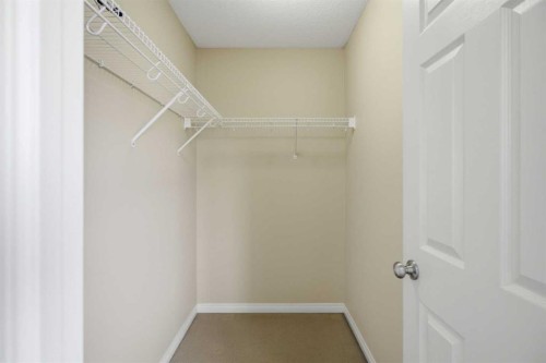 3032 New Brighton Gardens Se, Calgary, AB - Indoor With Storage