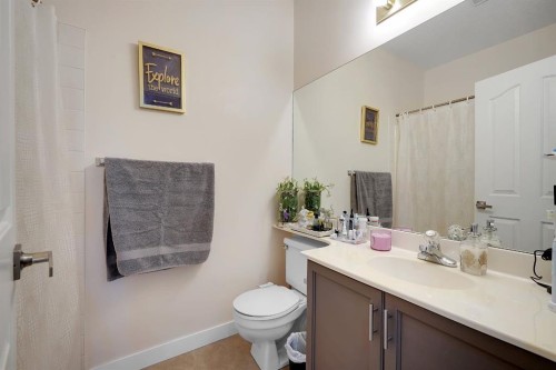 227-1920 14 Avenue Ne, Calgary, AB - Indoor Photo Showing Bathroom