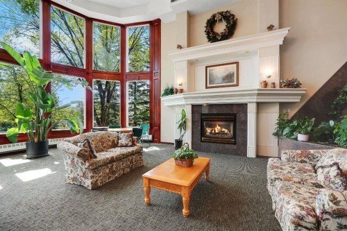 227-1920 14 Avenue Ne, Calgary, AB - Indoor Photo Showing Living Room With Fireplace