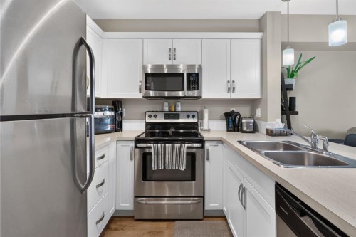 204-406 Cranberry Park Se, Calgary, AB - Indoor Photo Showing Kitchen With Stainless Steel Kitchen With Double Sink