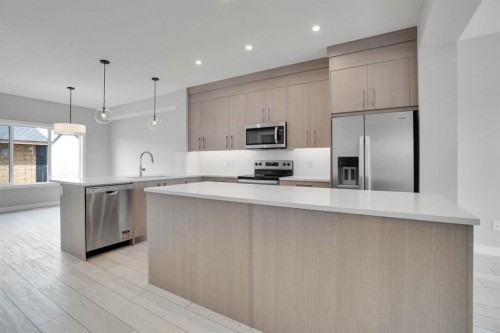 284 Huxbury View Ne, Calgary, AB - Indoor Photo Showing Kitchen With Stainless Steel Kitchen With Upgraded Kitchen
