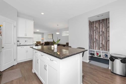 161 Red Sky Way Ne, Calgary, AB - Indoor Photo Showing Kitchen With Upgraded Kitchen