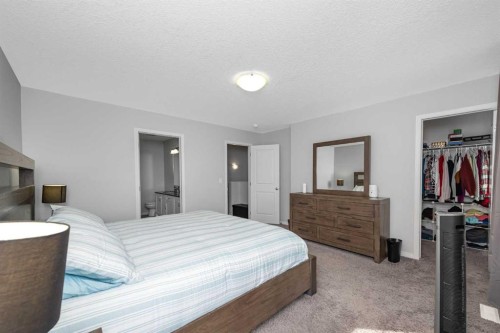 161 Red Sky Way Ne, Calgary, AB - Indoor Photo Showing Bedroom