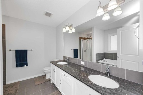 161 Red Sky Way Ne, Calgary, AB - Indoor Photo Showing Bathroom