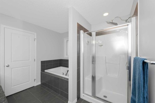161 Red Sky Way Ne, Calgary, AB - Indoor Photo Showing Bathroom