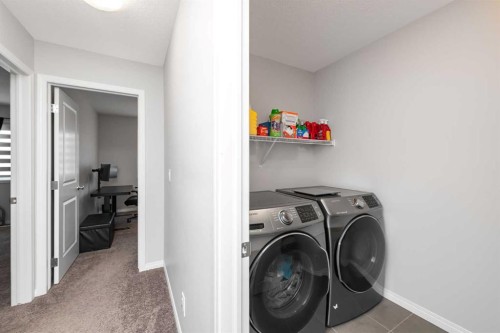 161 Red Sky Way Ne, Calgary, AB - Indoor Photo Showing Laundry Room