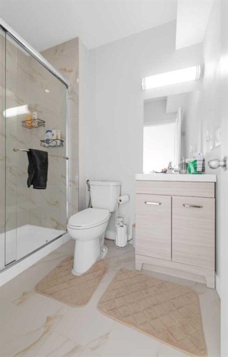 161 Red Sky Way Ne, Calgary, AB - Indoor Photo Showing Bathroom