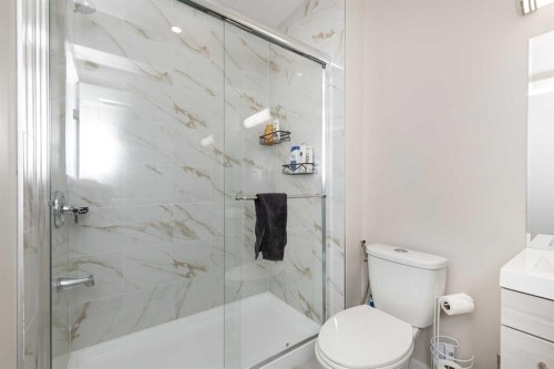 161 Red Sky Way Ne, Calgary, AB - Indoor Photo Showing Bathroom