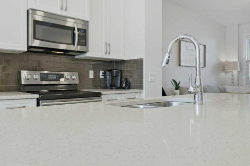 86 Marquis Common Se, Calgary, AB - Indoor Photo Showing Kitchen With Stainless Steel Kitchen With Double Sink With Upgraded Kitchen