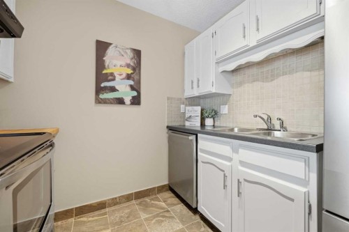 122-860 Midridge Drive Se, Calgary, AB - Indoor Photo Showing Kitchen With Double Sink