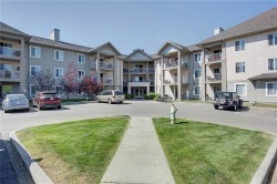 216-2000 Citadel Meadow Point NW Calgary, AB T3G 5N5