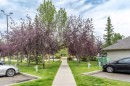 216-2000 Citadel Meadow Point Nw, Calgary, AB  - Outdoor 