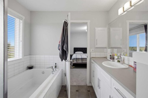 168 Savanna Lane Ne, Calgary, AB - Indoor Photo Showing Bathroom