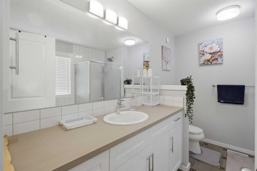 168 Savanna Lane Ne, Calgary, AB - Indoor Photo Showing Bathroom