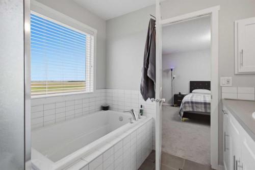 168 Savanna Lane Ne, Calgary, AB - Indoor Photo Showing Bathroom