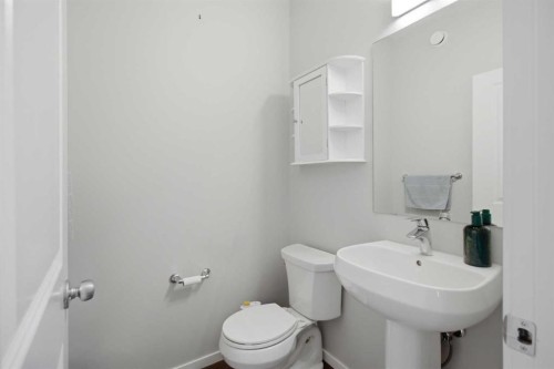 168 Savanna Lane Ne, Calgary, AB - Indoor Photo Showing Bathroom