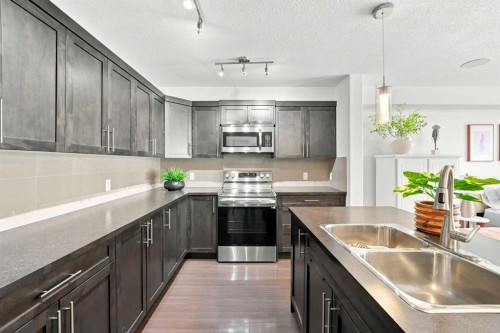 308 Redstone View Ne, Calgary, AB - Indoor Photo Showing Kitchen With Double Sink With Upgraded Kitchen