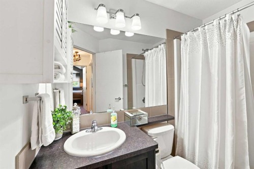 308 Redstone View Ne, Calgary, AB - Indoor Photo Showing Bathroom