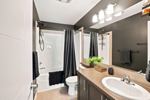 308 Redstone View Ne, Calgary, AB - Indoor Photo Showing Bathroom