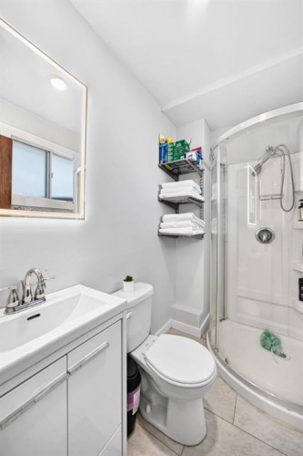 2203 65 Street Ne, Calgary, AB - Indoor Photo Showing Bathroom