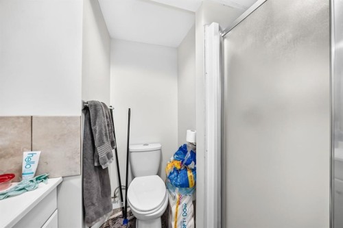 2203 65 Street Ne, Calgary, AB - Indoor Photo Showing Bathroom