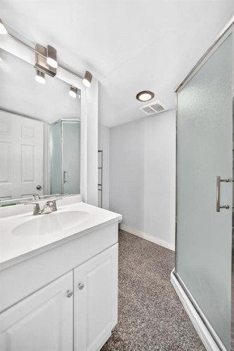 2203 65 Street Ne, Calgary, AB - Indoor Photo Showing Bathroom