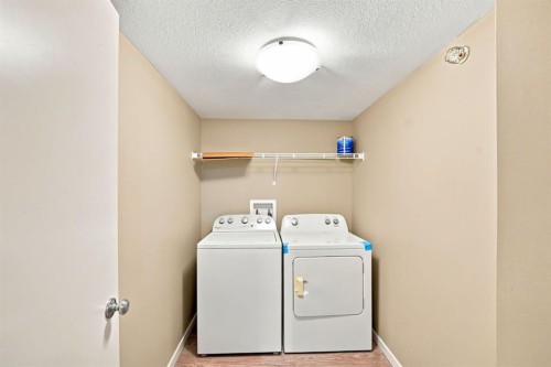3407-181 Skyview Ranch Manor Ne, Calgary, AB - Indoor Photo Showing Laundry Room
