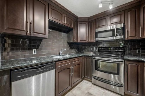 207-2010 35 Avenue Sw, Calgary, AB - Indoor Photo Showing Kitchen