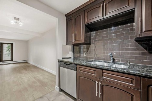 207-2010 35 Avenue Sw, Calgary, AB - Indoor Photo Showing Kitchen With Double Sink