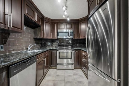 207-2010 35 Avenue Sw, Calgary, AB - Indoor Photo Showing Kitchen With Double Sink With Upgraded Kitchen
