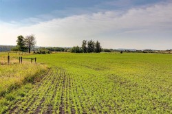 370 Ave W Rural Foothills County, AB T0L 0H0