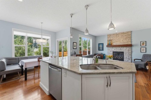 48 Brightoncrest Manor Se, Calgary, AB - Indoor With Fireplace