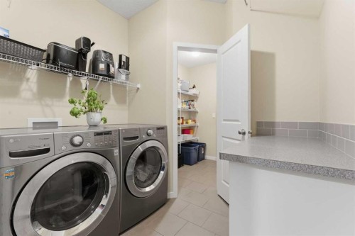 48 Brightoncrest Manor Se, Calgary, AB - Indoor Photo Showing Laundry Room